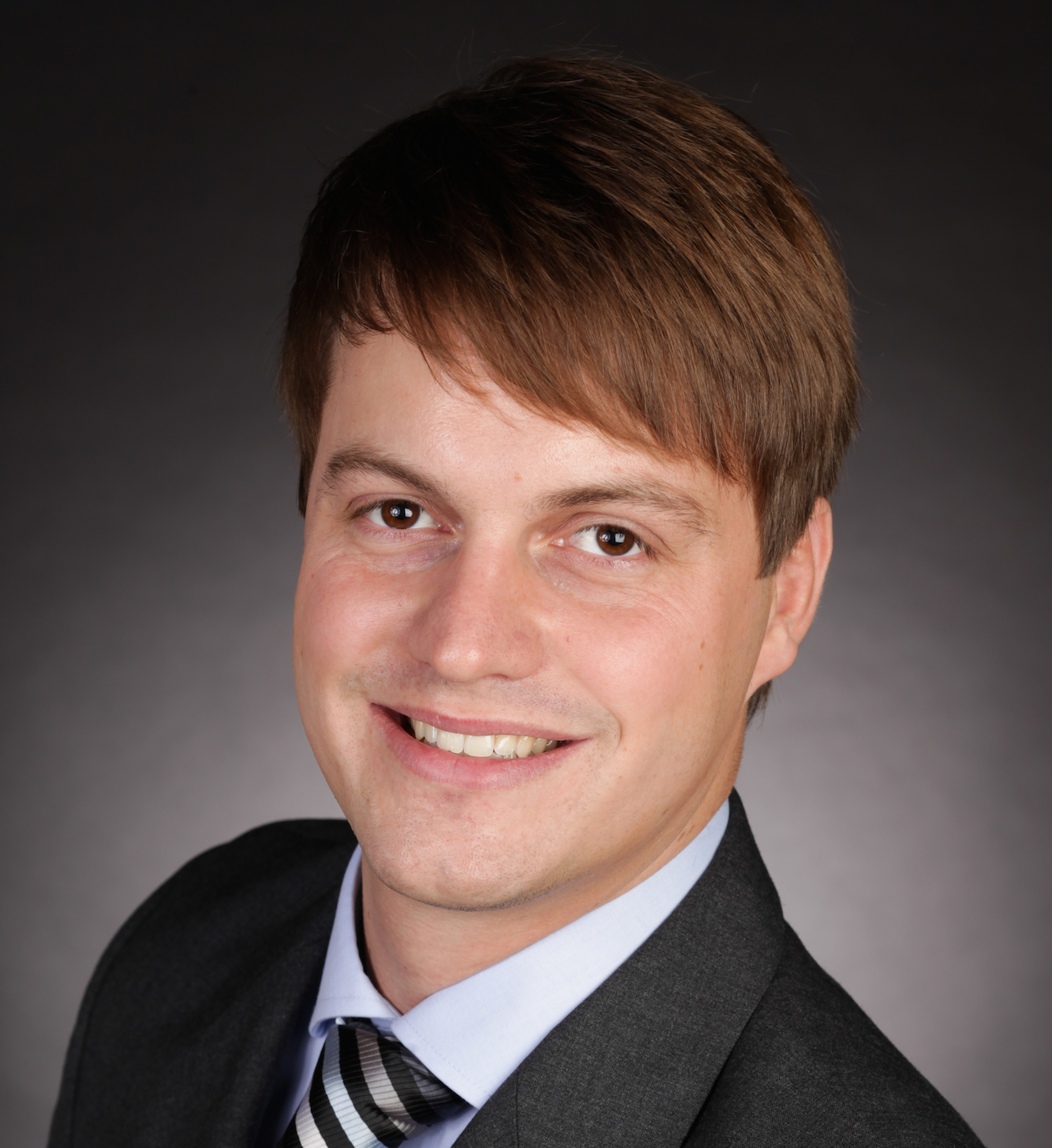 Porträt von Stefan Dahlmann